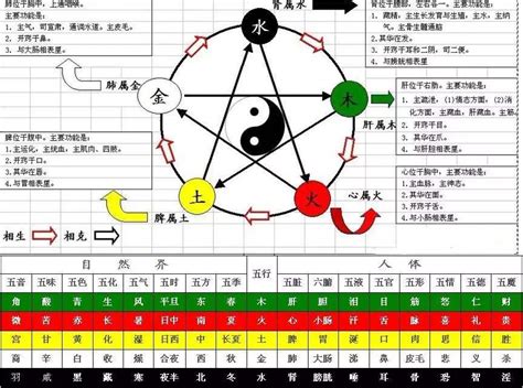 十天干五行|「四柱八字」十天干的五行属性和阴阳属性